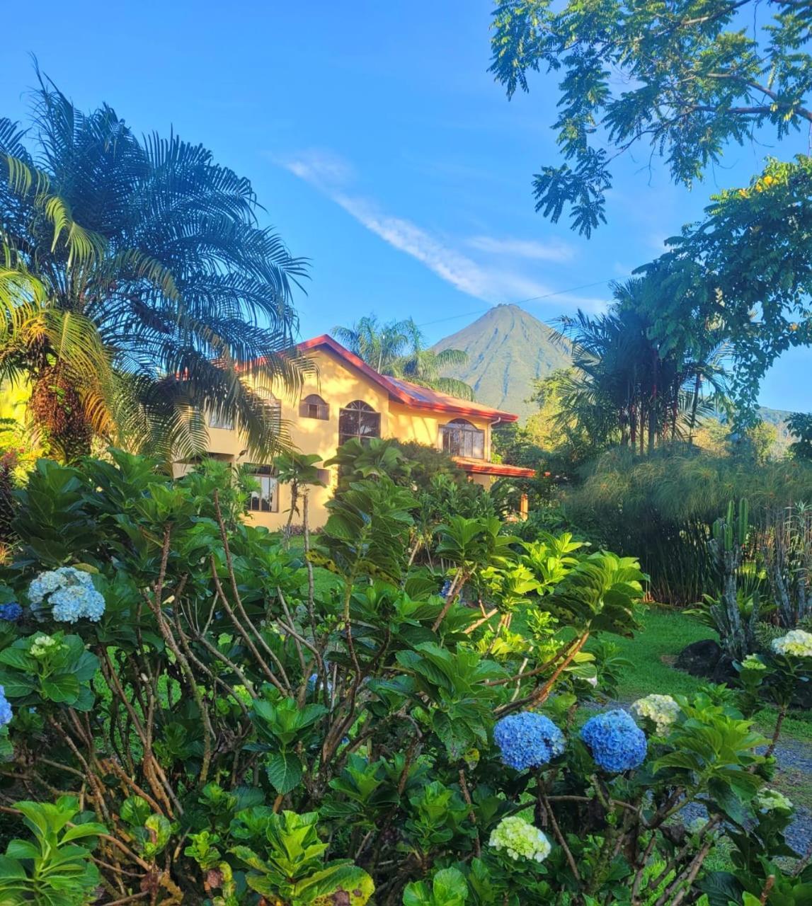 Yellow Tree Suites La Fortuna Eksteriør billede